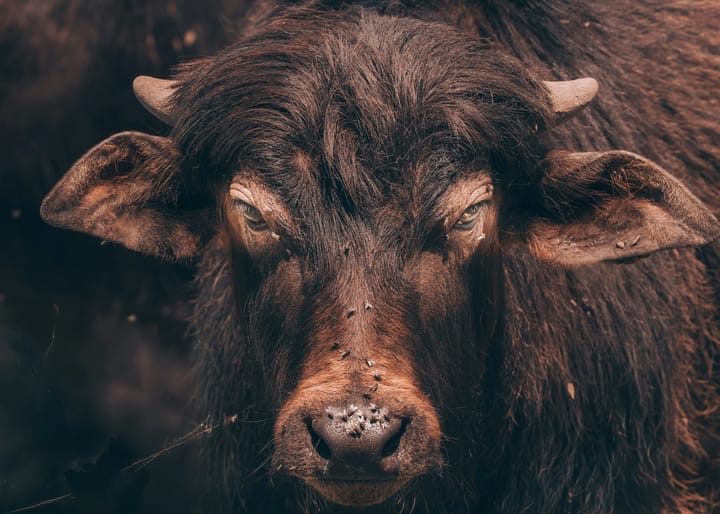 Busted: The Myth of Being Busy